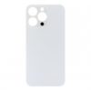Apple iPhone 13 Pro Backcover Glass - (Wide Camera Opening) - Silver