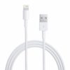 Apple Lightning To USB Cable - 0.5 meter - Retail Packing - ME291ZM/A